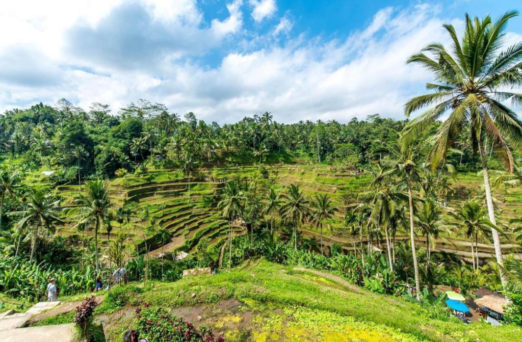 Caldera Hotel & Restaurant BALI Kültér fotó